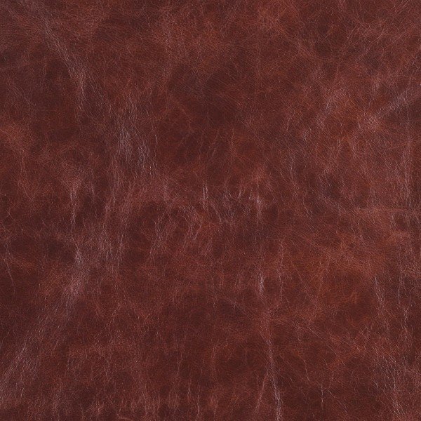chestnut