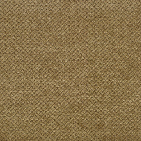 pimlico gold