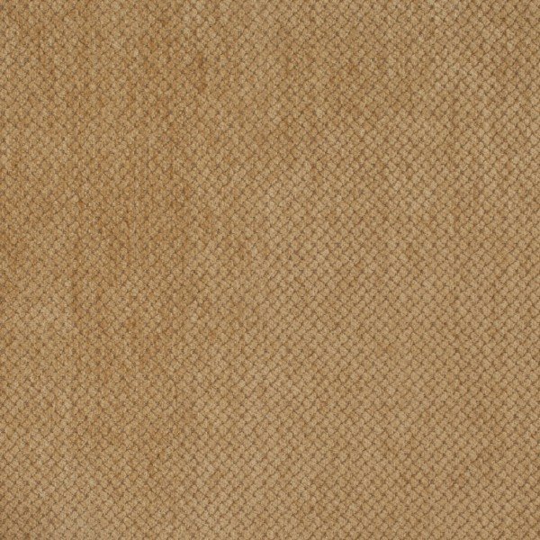pimlico gold